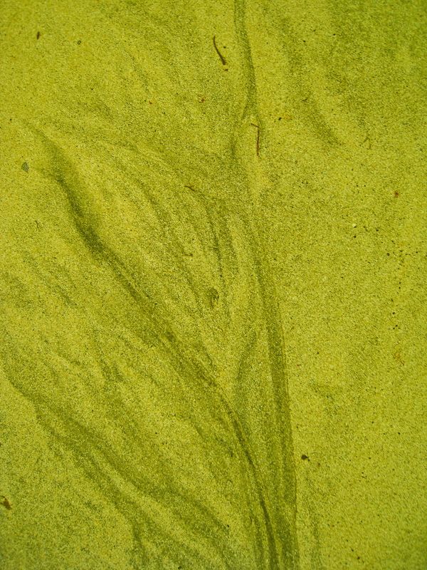 Urine Channel