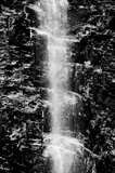 Foto2009 001