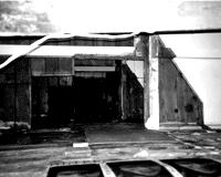Paramimia1998 001